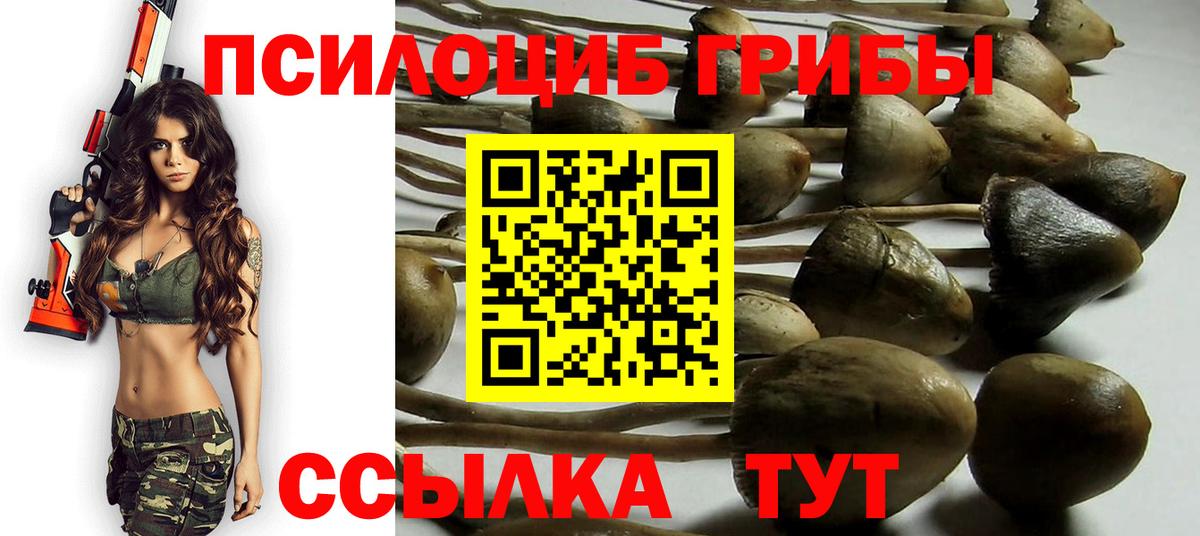 Галлюциногенные грибы Cubensis Нарьян-Мар