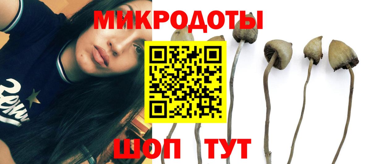 Нарьян-Мар  Псилоцибиновые грибы Magic Shrooms  Вход с VPN 